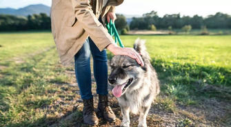 How to Find Pet Sitting and Dog Walking Services for Seniors